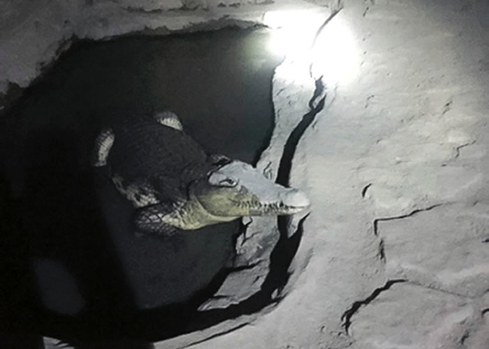 ���㱻�����ڵؿ��ˮ���ڡ�