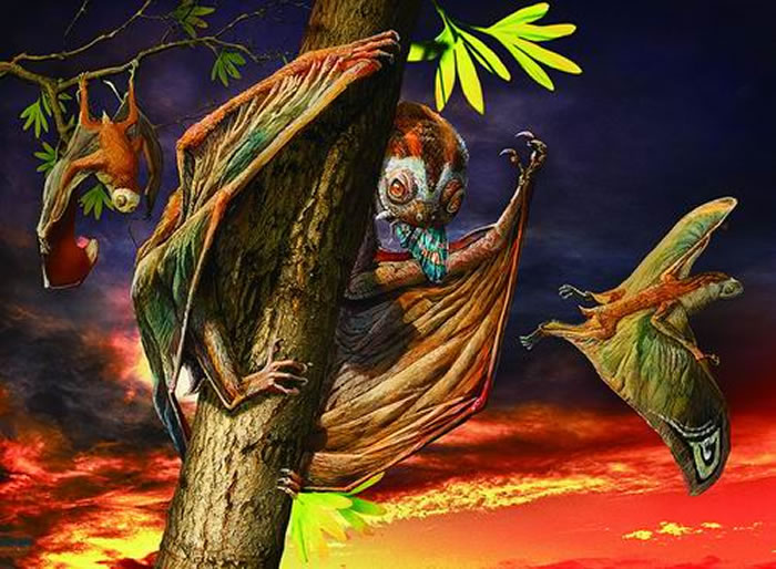 辽宁建昌喇嘛洞九佛堂组发现新的蛙嘴翼龙类化石——喇嘛洞黄昏翼龙