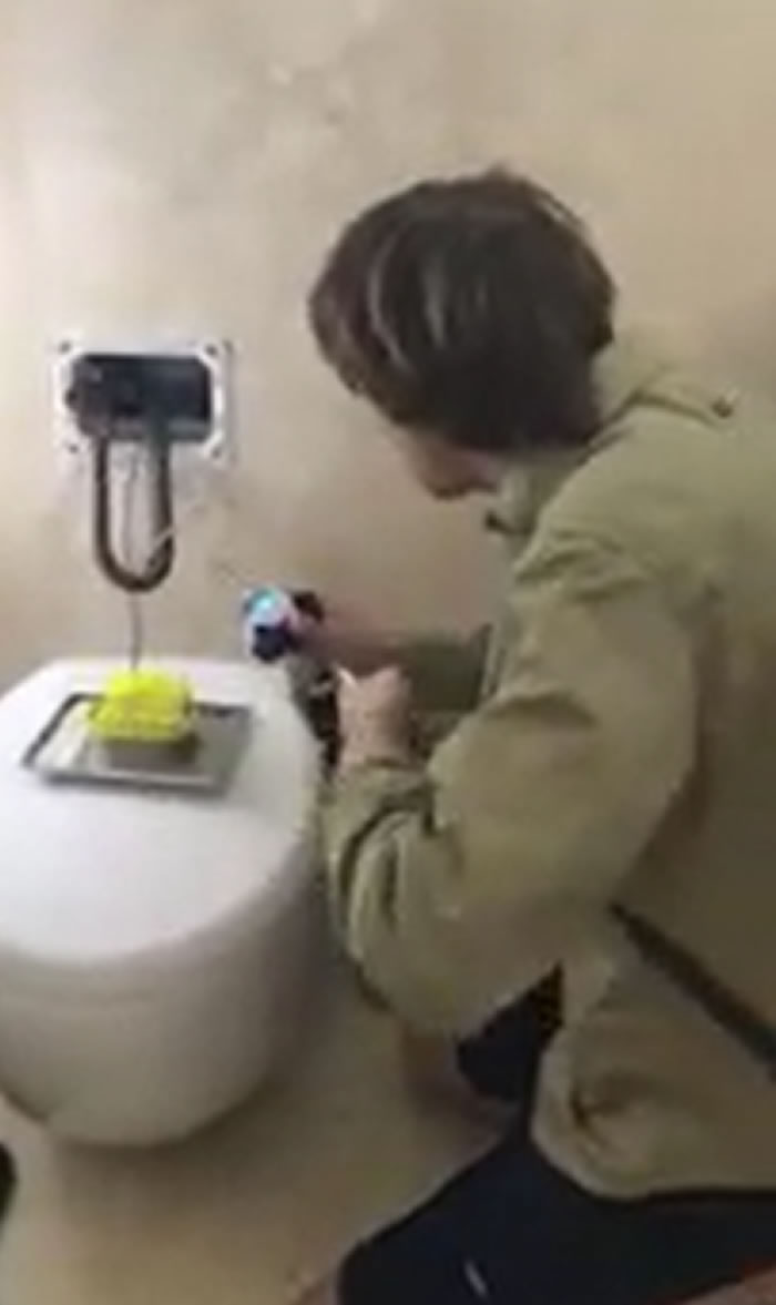 澳大利亚男子在视频中展示如何从马桶里面抓住一条蛇