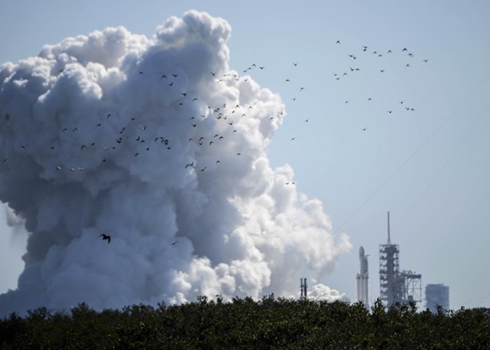 ����ӥ���͡������������ա�