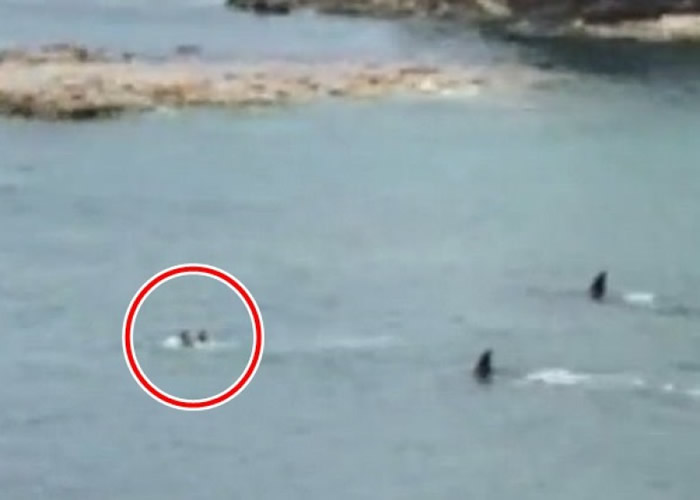 ��������ϣ����ɱ�˾�������ͯ�����ι�