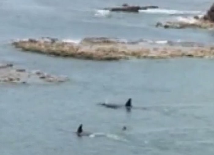 ��������ϣ����ɱ�˾�������ͯ�����ι�