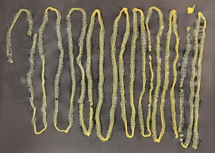 �¼������ӻ��ɳ���������������ų�2.8���г�