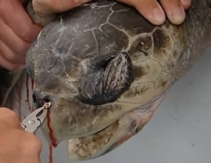 ���걻�������ǵ�����Ƭ��������ɺ䶯��