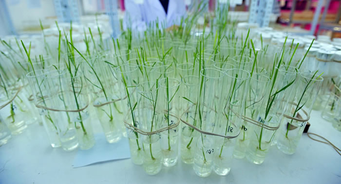 �й�Ҫ��ת��������ȸ������˳�