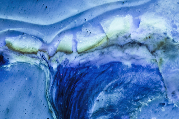 ӫ���µġ������ͷ����Ƭ  ������ ��ͼ