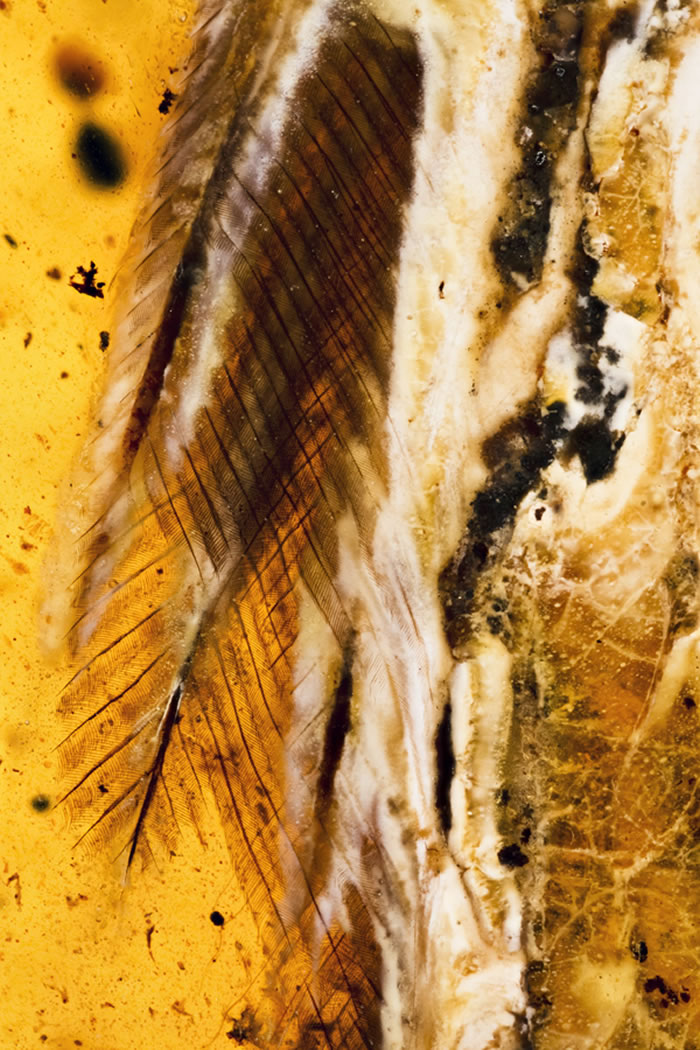 �������ë��д����ͼ�������