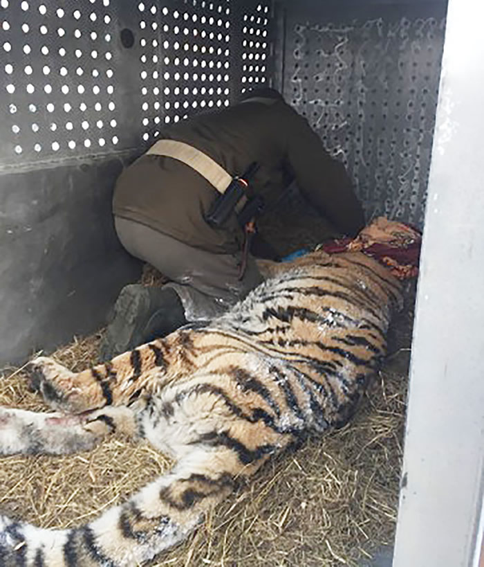 ����˹������ׯ�������������ϻ���Х ���ſ����ϵ������������ǻ�