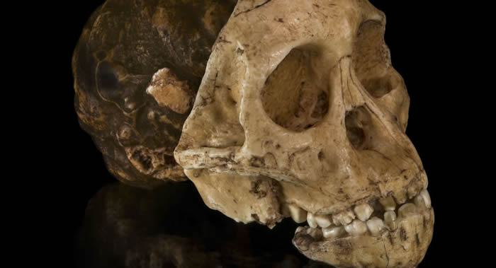 �������������������������ͷ�ǣ�