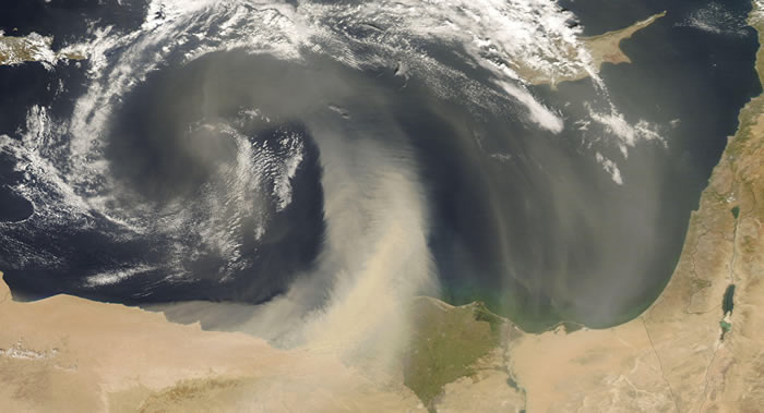 �о�ʵ����������������Ŵ������� ÿ�춼�ᡰ���ڡ���������