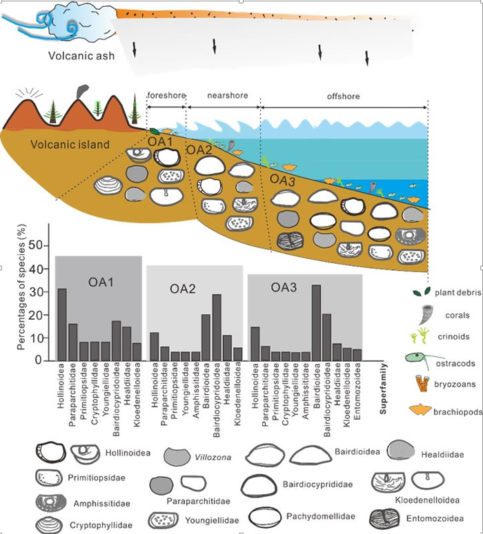 西准噶尔晚泥盆世洪古勒楞组下段沉积环境和介形类组合