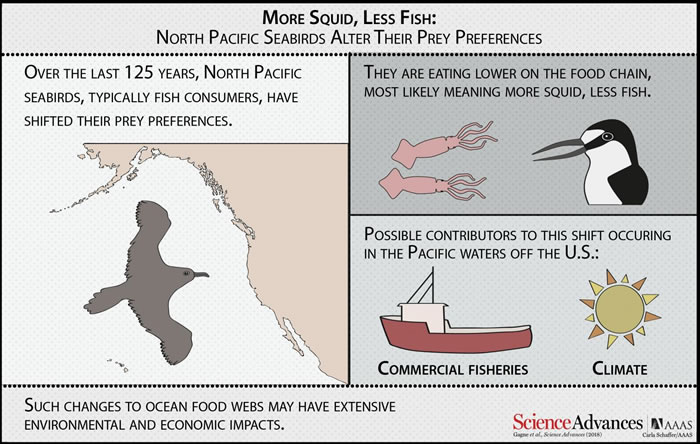 һ�����ݶԹ�ȥһ��������̬ϵͳ�仯���������ķ�������ͼ��ʾ����̫ƽ���в��ĺ���Ʒ������ʳ�����ڵ�λ�����������»�������ȡʳ�������ӣ����������ʳ���������١�