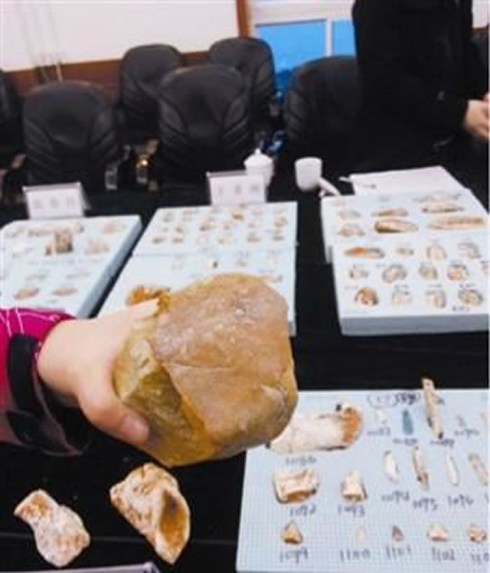 ͨ���Զ����Ŵ濪չ���￼��ѧ�о���̽���й��Ŵ���ᷢչ