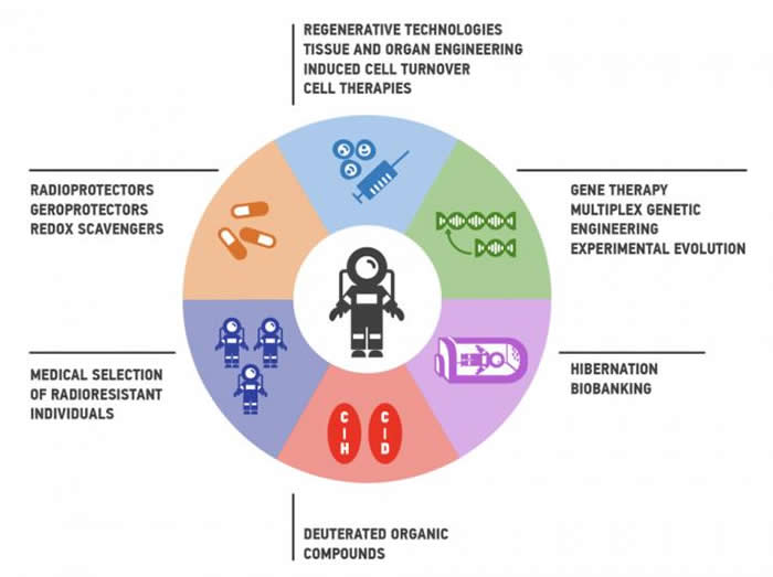 猎鹰重型运载火箭的成功发射催生宇航员抗辐射路线图