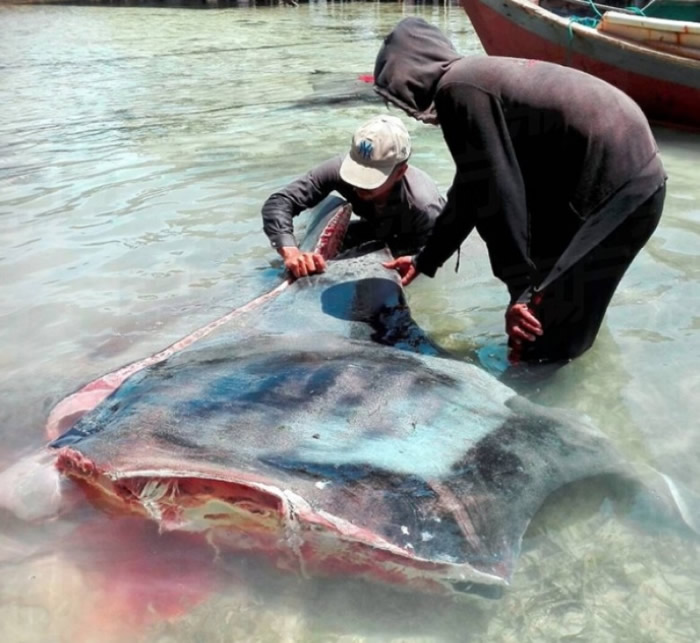 ɳڲɱΣ􄡢ħ㼰 ѪȾ캣