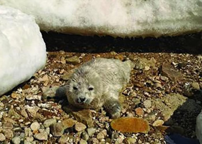 ���Ѱߺ�����������������«����̲