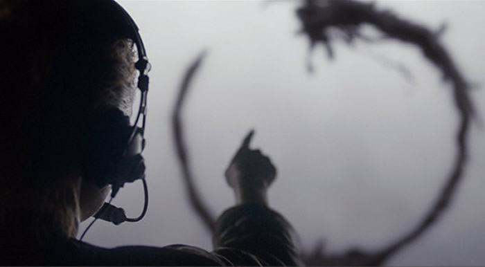 除了语言系统,加来提出的外星人特征与地球上的章鱼大致相似。