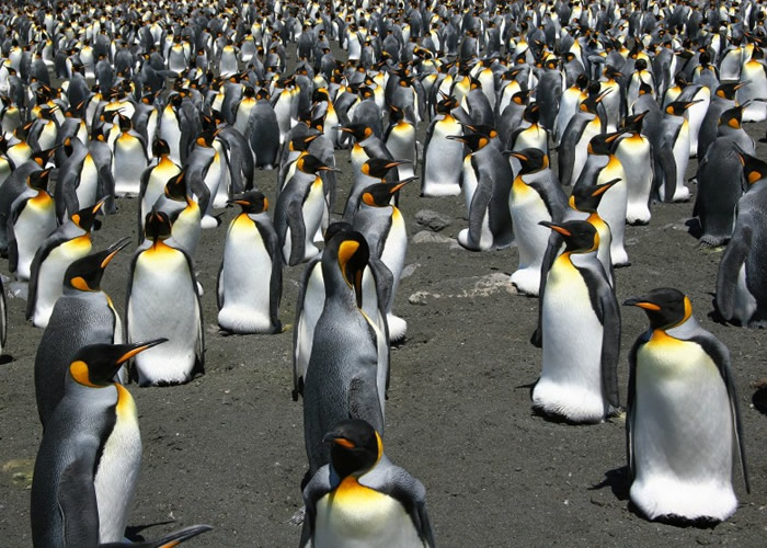 ר��Ԥ�ƴ���������콫�ڱ�����ĩ����Ǩ����ʧ��