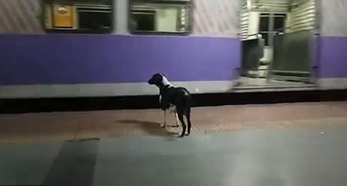 ĸ��ÿ������ʧ�����ء�