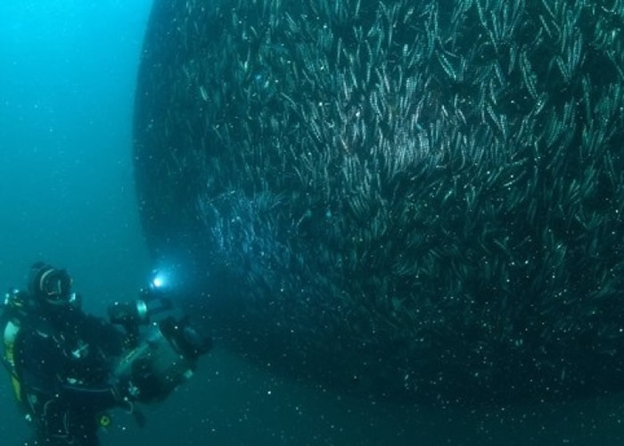 ǱˮԱںںɹĵŷ[ȺƬ