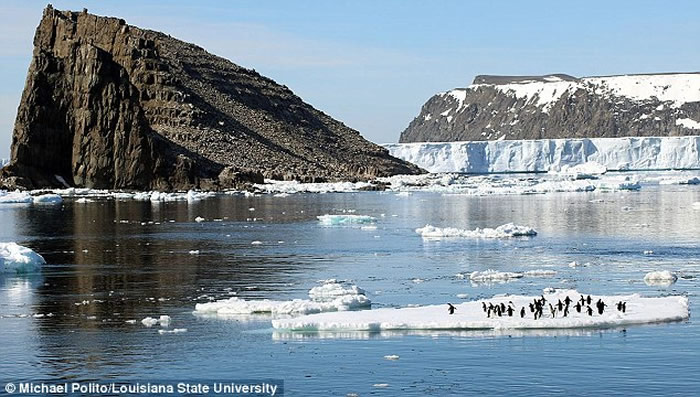 �ϼ��޵���Ⱥ������������Ⱥ 150����ֻ���������