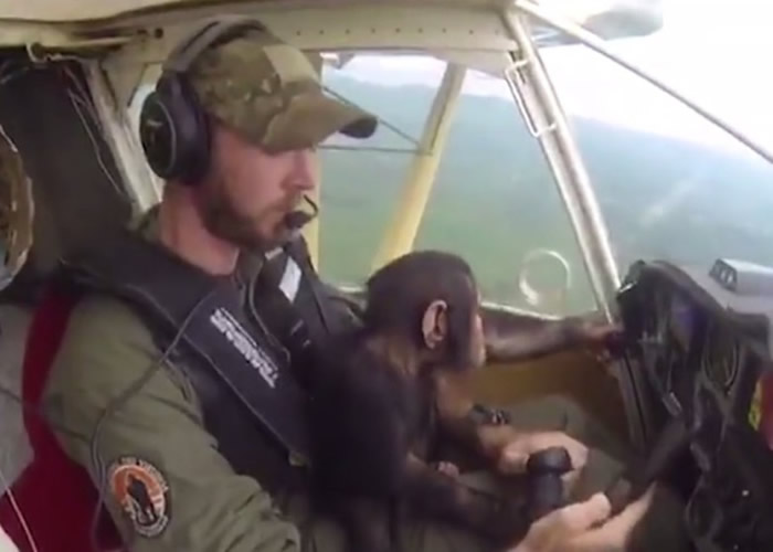 �չ������ɱ����������� ���ĺ����ġ�ѧ���ɻ���