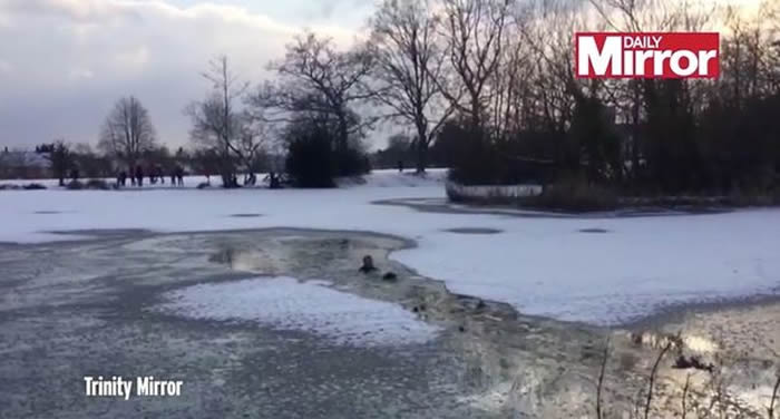 英国赫特福德郡热血男子无惧寒冬跳入冰湖救狗