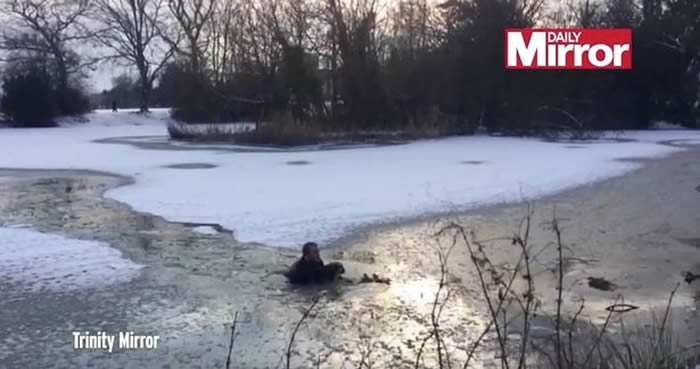 英国赫特福德郡热血男子无惧寒冬跳入冰湖救狗