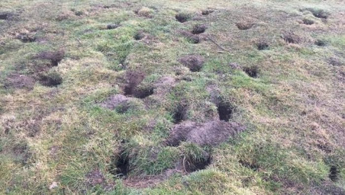 Ұ�û��ڵ����ھ������Ѩ��