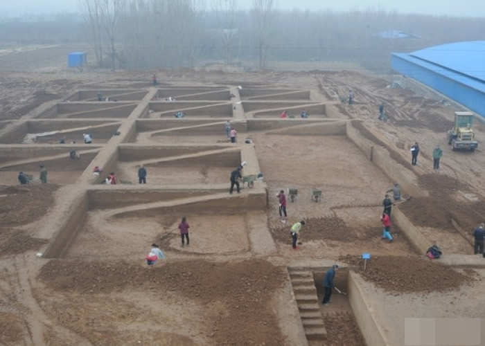 ����ʡ���￼���о�Ժ�ȵ�λ�Բܲٸ�����԰�������ż����з���