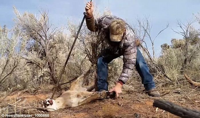 �����������¸����˽��������������ʨ���Լ����µ������н�ȳ���