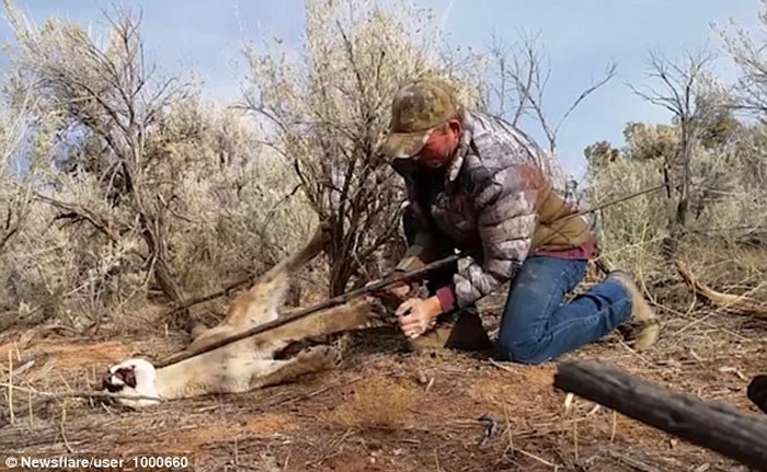 �����������¸����˽��������������ʨ���Լ����µ������н�ȳ���