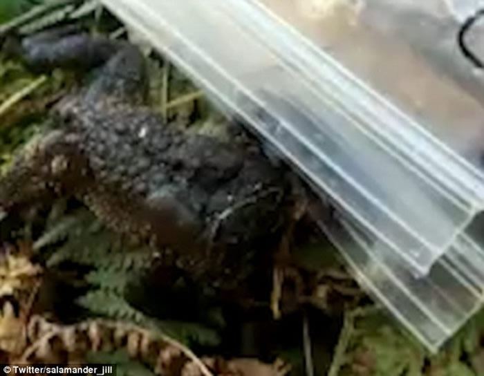 ���������Ҹ���ɭ�ַ���û��ͷ�ĳ������ ��Ȼ��úúõ�