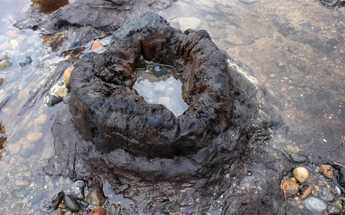 �籩����Ӣ���׵¿��к�̲����7000��ǰʯ��ɭ��