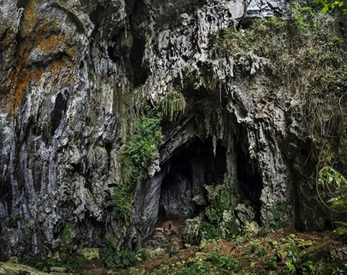 云南省文山州广南县坝美镇者卡村大阴洞遗址考古发现人类早期洞穴墓地
