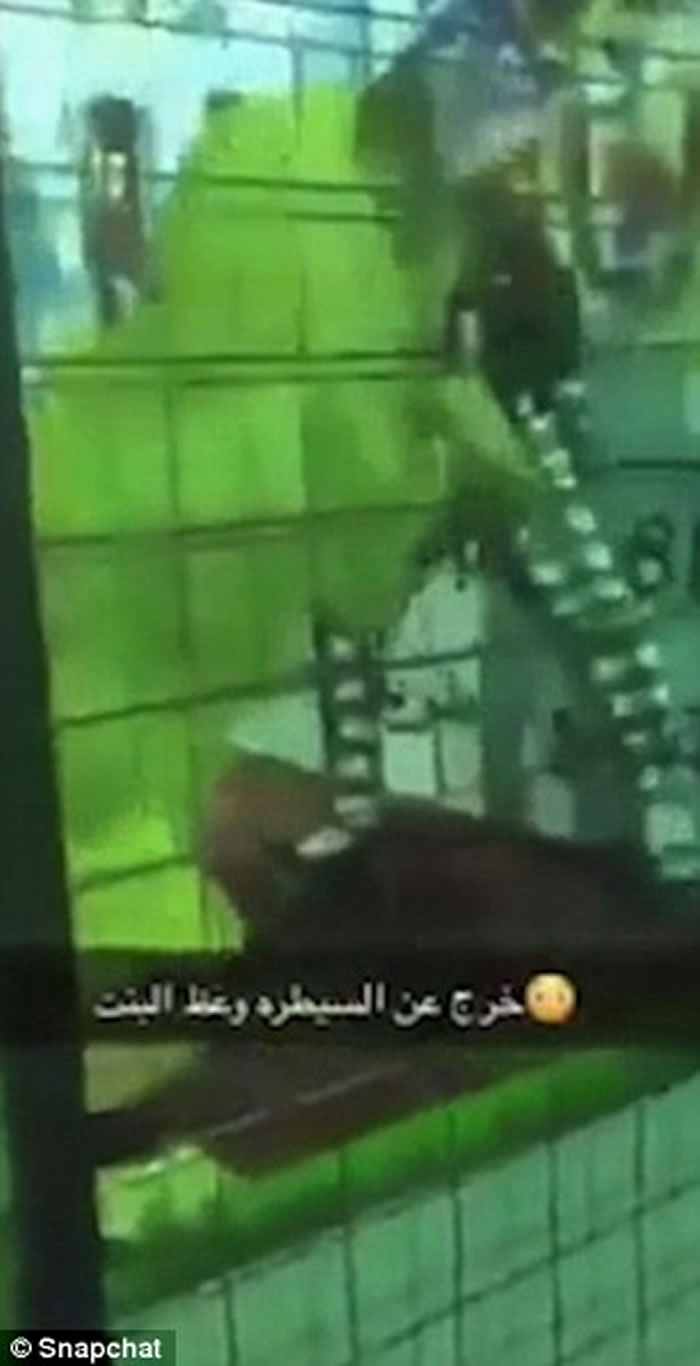 ɳذۿڳмʨӷ˵Ůͯ