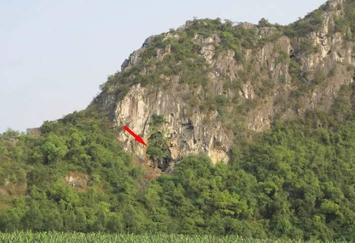 广西隆安娅怀洞遗址发现1.6万年前人类头骨化石及逾万件石制品