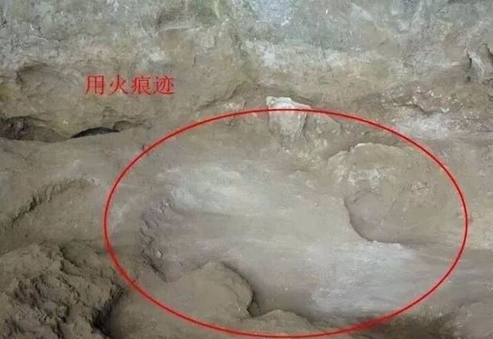 广西隆安娅怀洞遗址发现1.6万年前人类头骨化石及逾万件石制品