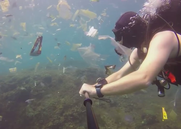 Ӣο͵ӡ嵺Ǳˮĵֲ󣺺׳Ϊ