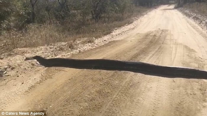 Ϸ˾ǰɫٴ ³һԭⱲӼ