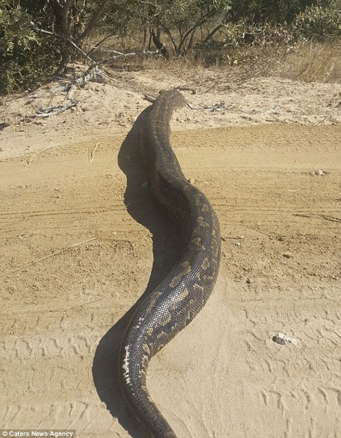 Ϸ˾ǰɫٴ ³һԭⱲӼ