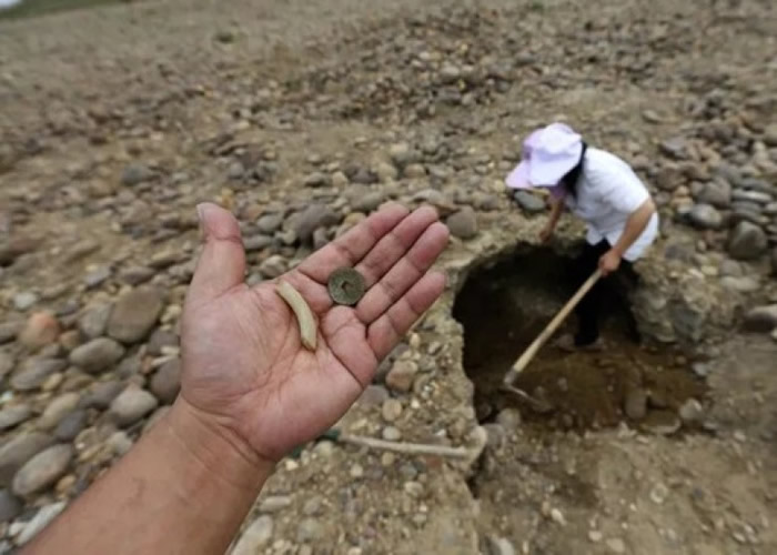 ����Ѱ������Ѷǰ����Ѱ�������Ե������ﰲȫ����������в��