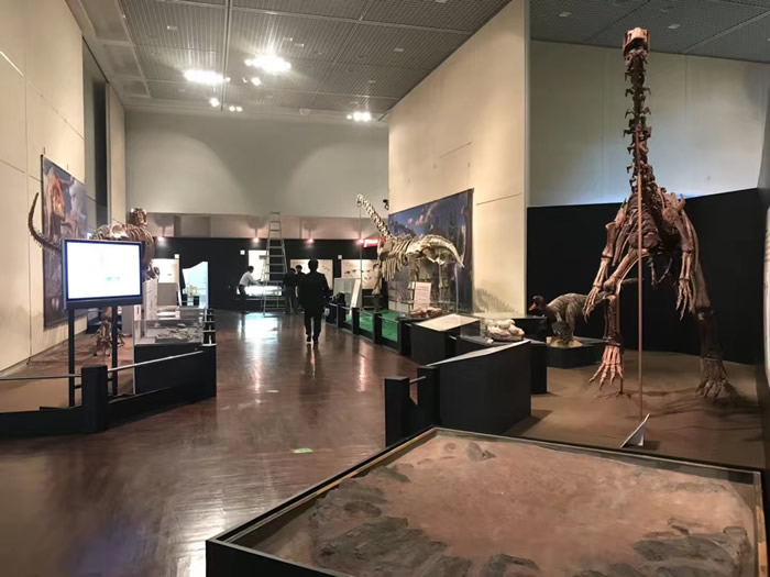 浙江自然博物馆“恐龙蛋—恐龙诞生之谜”展览在日本大阪市立自然史博物馆开展