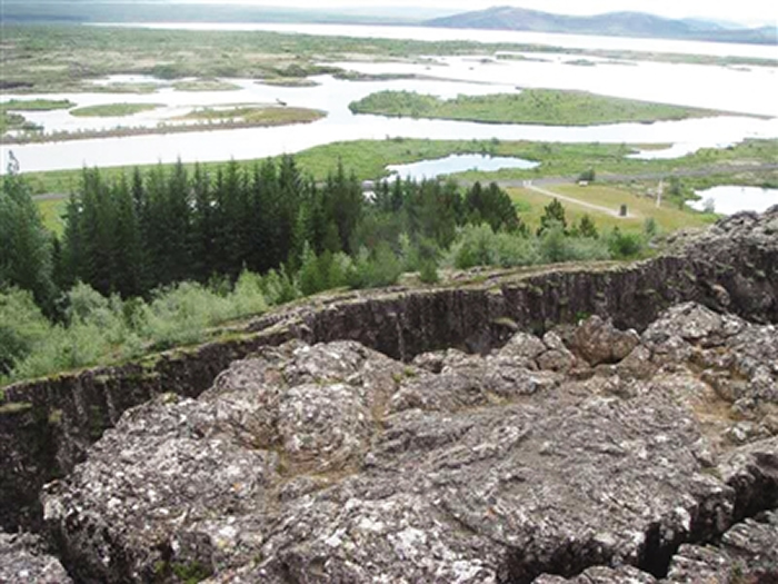 查干诺尔龙发现记:1983年蒙古汉子到博物馆称在山坡发现巨龙骨骼