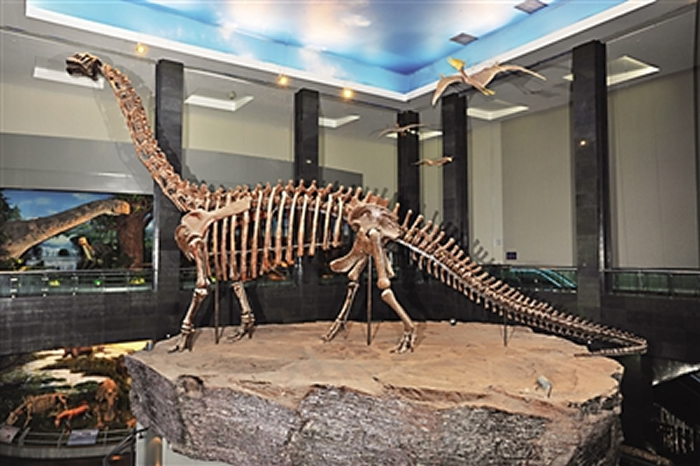 查干诺尔龙发现记:1983年蒙古汉子到博物馆称在山坡发现巨龙骨骼