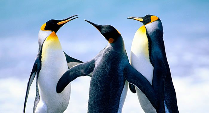 ����ά�ǿƿ���Ա���ϼ�������ϴ��