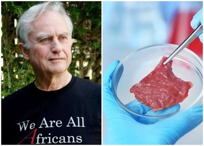 道金斯(左图)提出人类可否吃“培育人肉”的疑问。