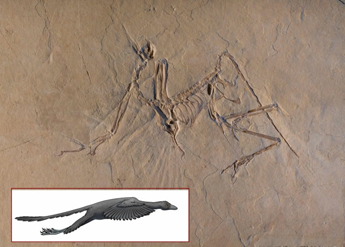 �о�ָ٪�޼�ʼ����δ��������ʼ�档