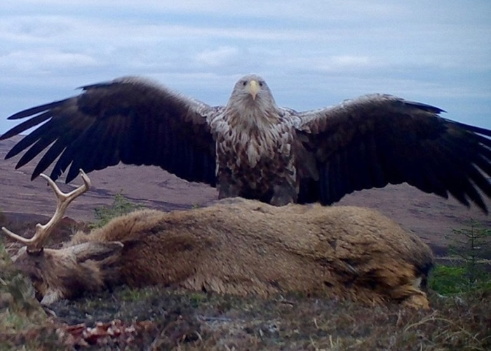 Ӣ���ո���������ղ����Ⱥ�����Ͱ�β���񡰿��͡�����ײ������¹