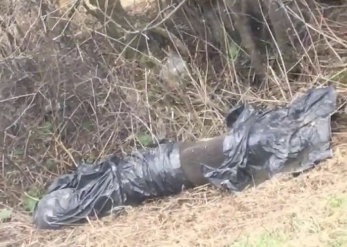 ���Զ��������֯���켩�ס�